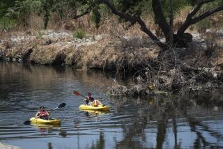 Kayakers float on the Los Angeles River in Elysian Park on Monday, May 31, 2021. The section of the river is now open for the season to kayakers. ( Nick Agro / For The Times )