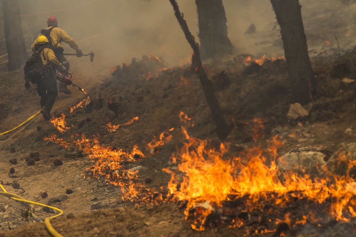 Strike teams light backfires to battle the Lake fire near the Santa Ana River Trail in the San Bernardino National Forest on June 20.
