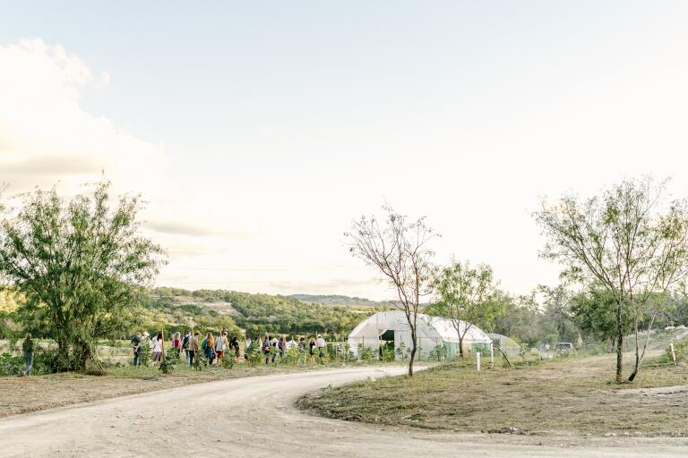 Sage Vegan Bistro owner faces backlash after going un-vegan - Los ...