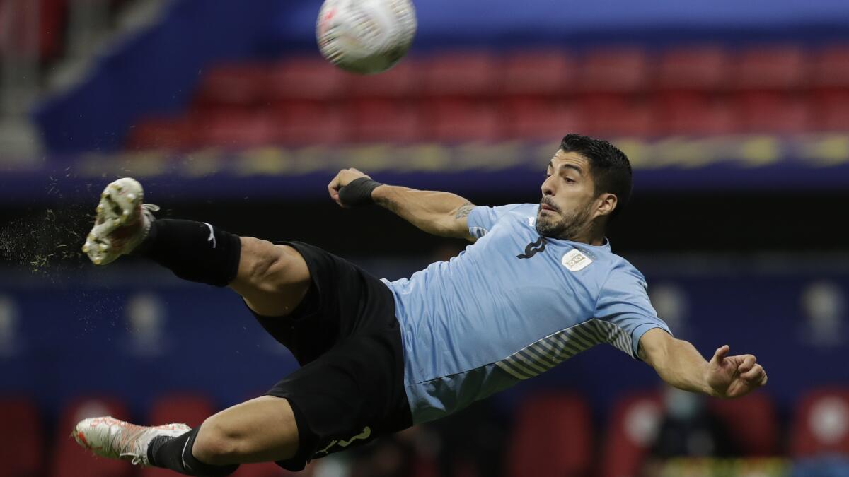 Luis Suárez y Edinson Cavani podrían reaparecer con Uruguay Vs Argentina