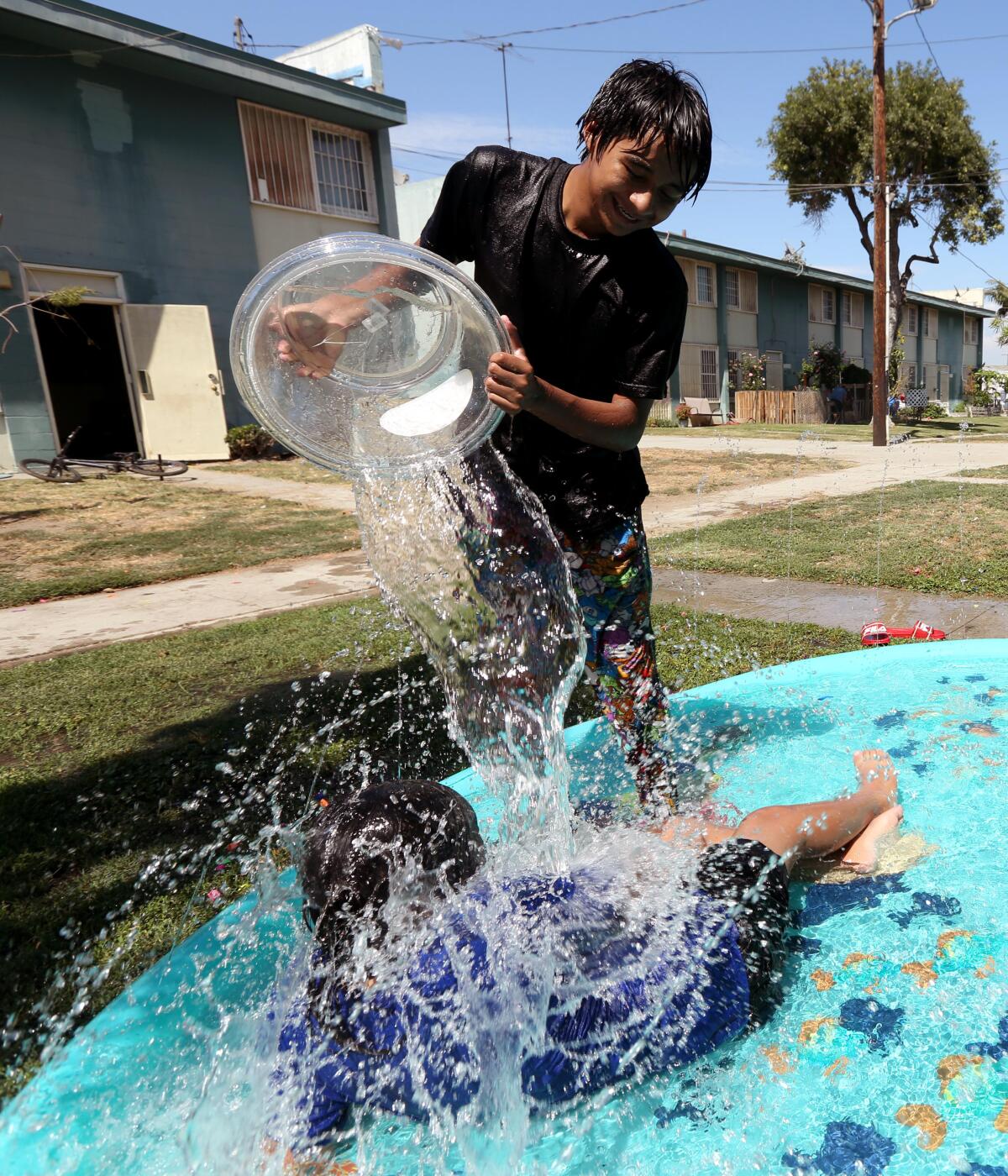 Children play in a pool.