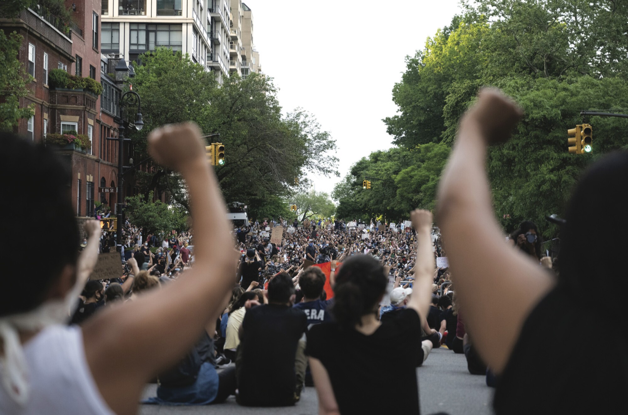 A photograph of a crowd of protesters from behind.