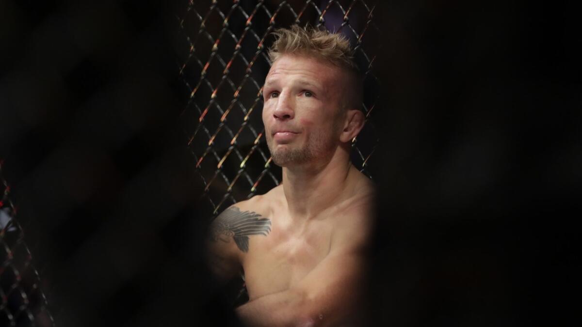 T.J. Dillashaw after his fight against Henry Cejudo at UFC Fight Night on Jan. 20.