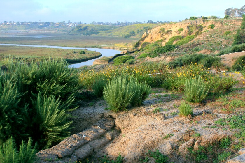 The Upper Newport Bay Nature Preserve located in Newport Beach.