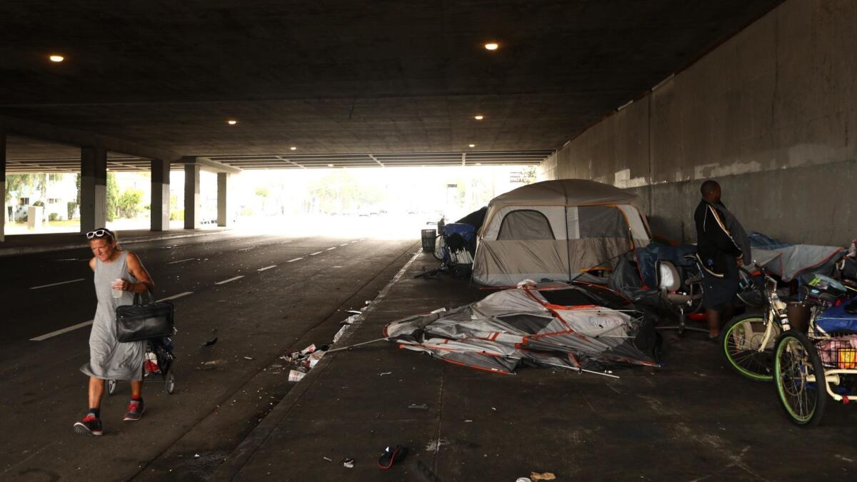 A homeless encampment beneath the 405 Freeway. 