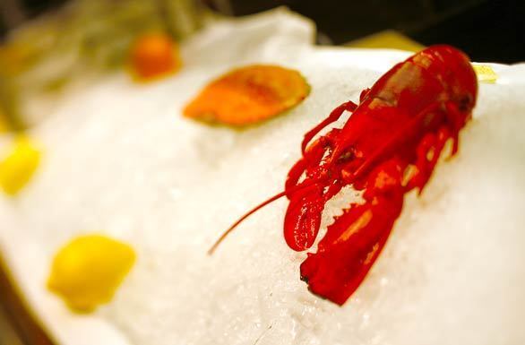 Water Grill - lobster