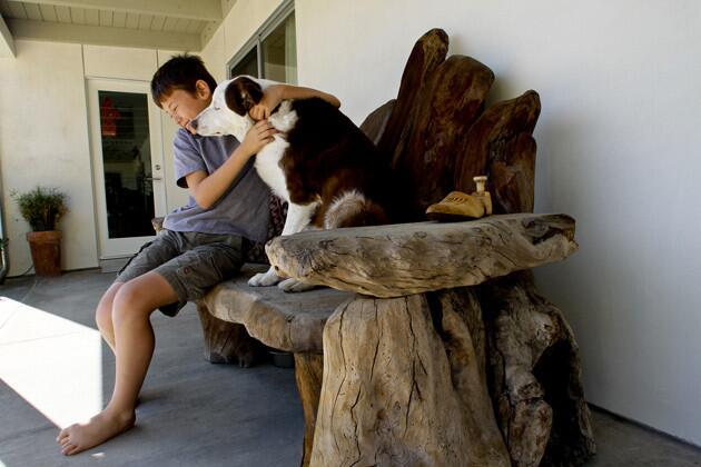 Ojai ranch house remodeled