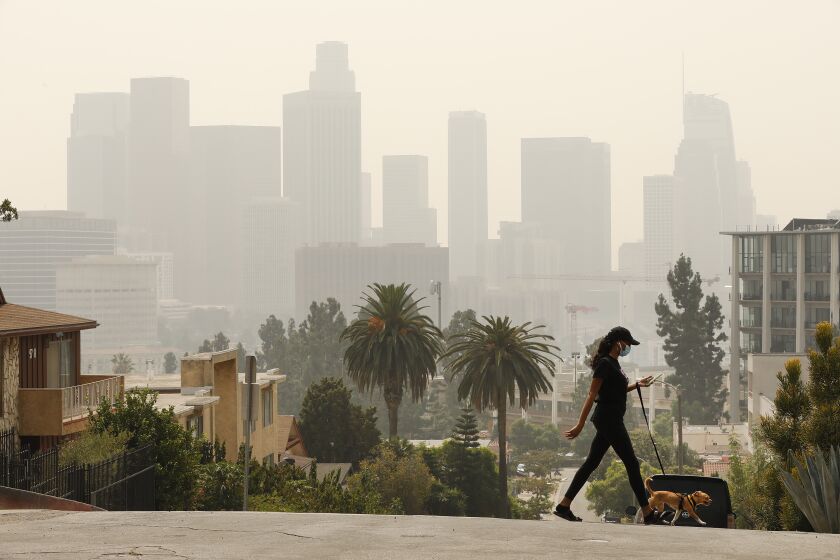 LOS ANGELES, CA - SEPTEMBER 14: Breya Hodge walks her dog "Sophie" as smoke and ash from the Bobcat fire burning in the Angeles National Forest have blanketed the region for a week, contributing to poor air quality which nearly obscures the tall buildings of downtown Los Angeles September 14, 2020. Current air quality readings are considered unhealthy for sensitive groups according to the Environmental Protection Agency. The bobcat fire is one of more than 25 fires burning in California creating a plume that spanned more than 1,000 miles. Downtown on Monday, Sept. 14, 2020 in Los Angeles, CA. (Al Seib / Los Angeles Times
