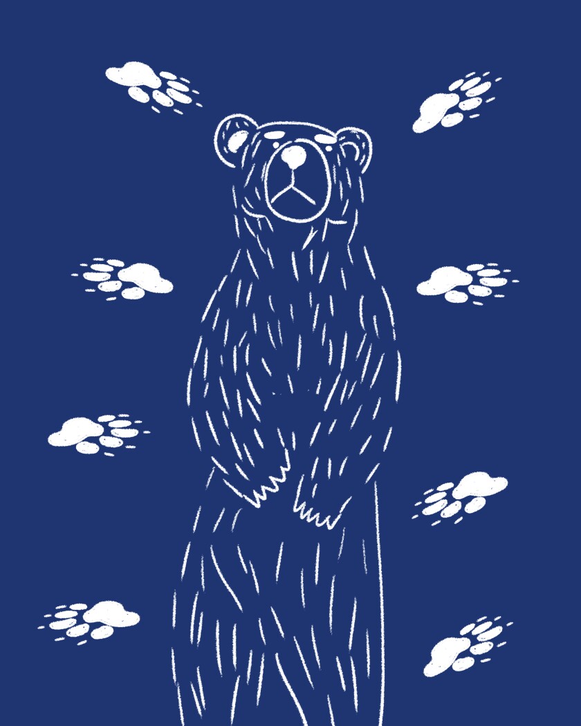Mt. Whitney bear bag thief.
