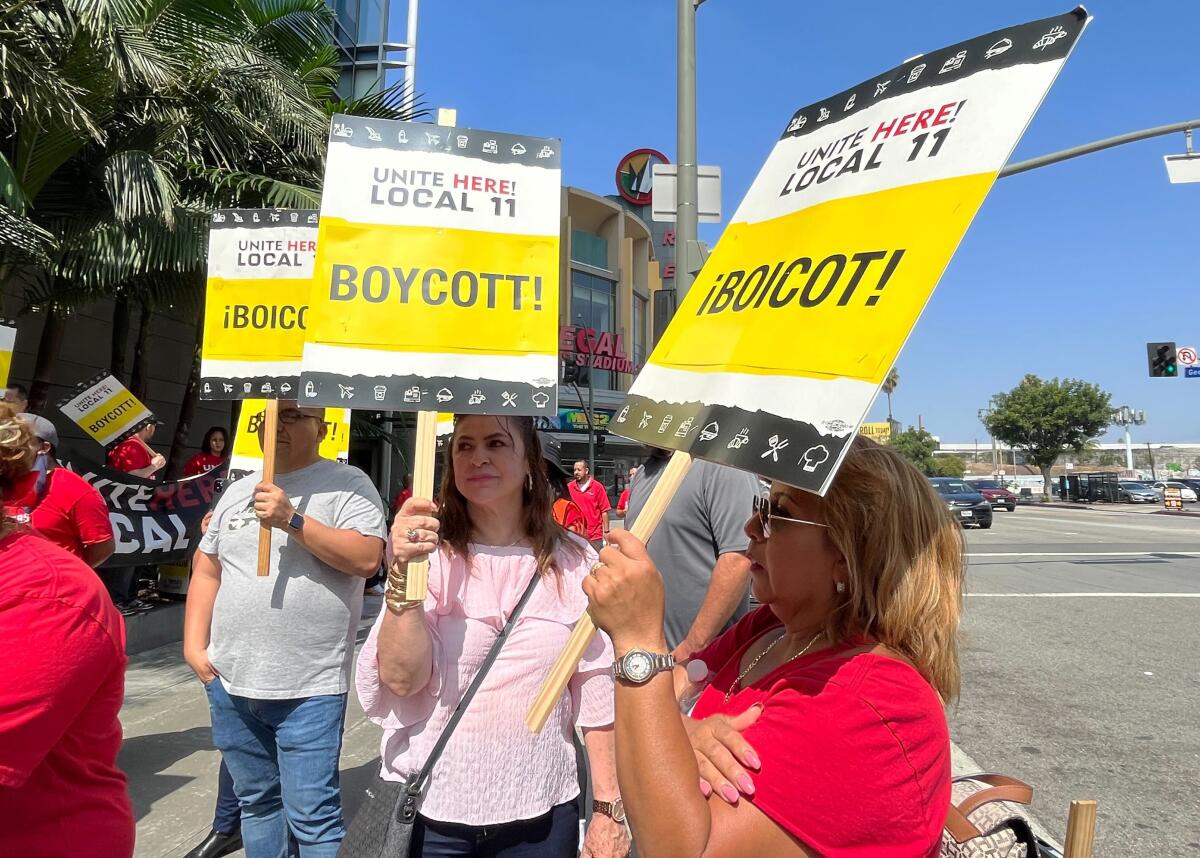 Patricia Alvarado and Maria Del Carmen Trujillo carry boycott signs
