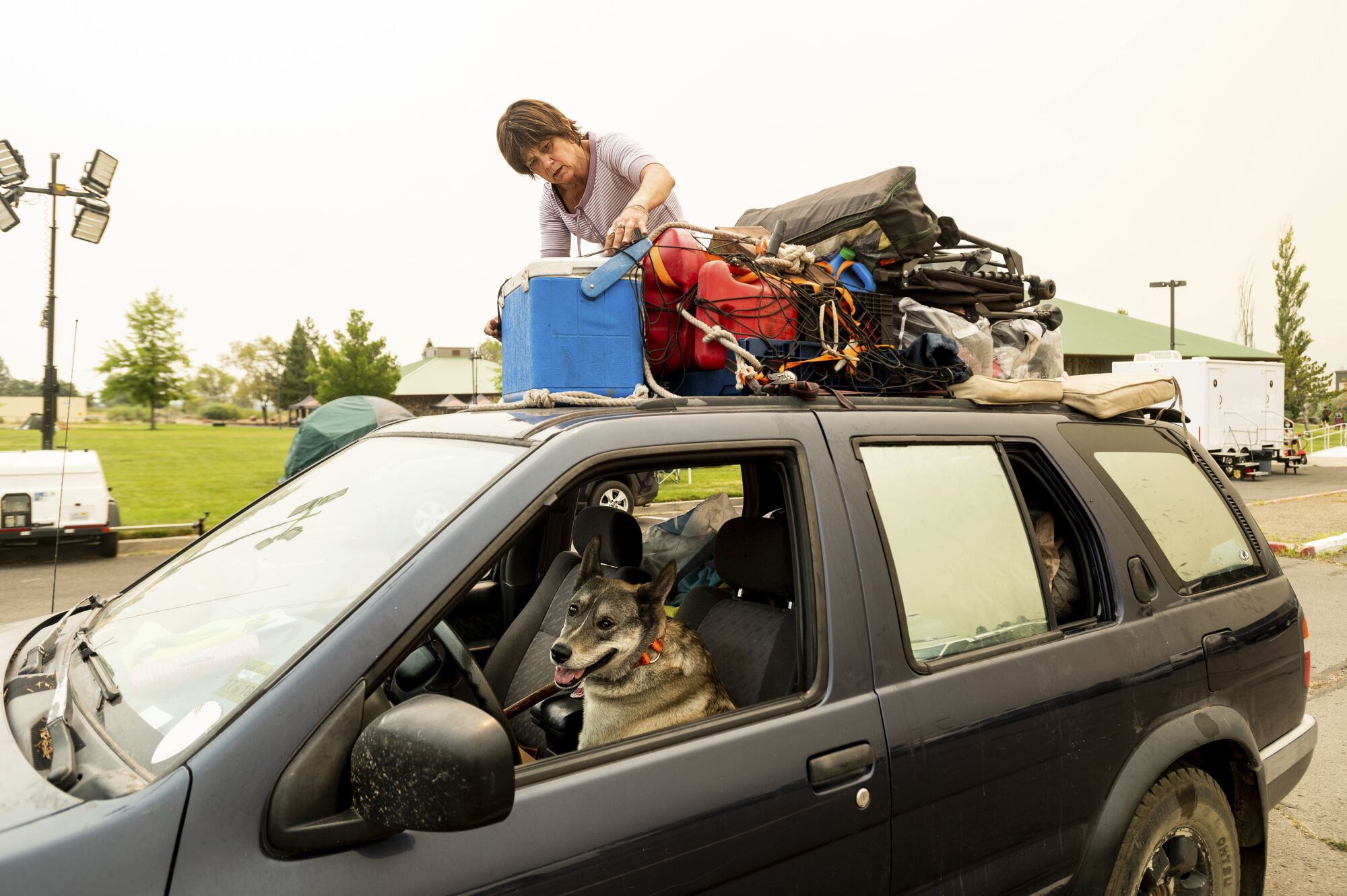 A woman kneels atop her car with a pile of belongings. A dog sits in the car's driver's seat.