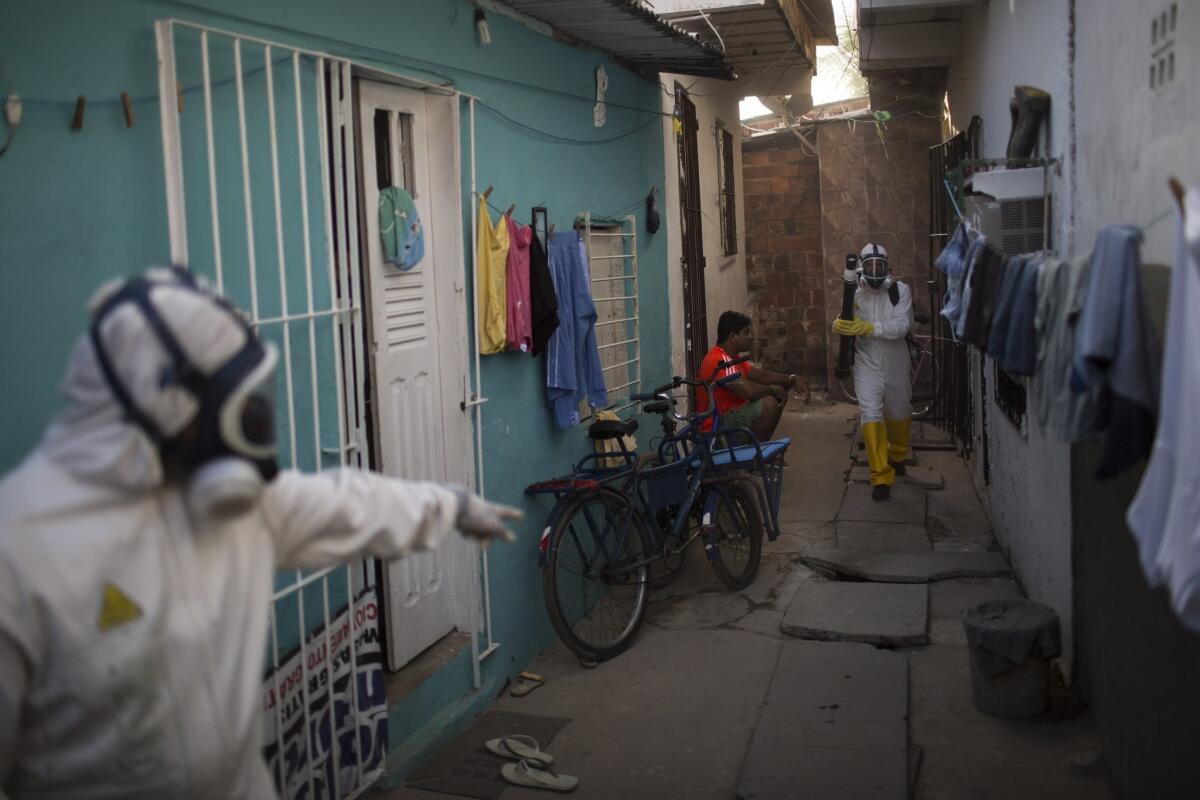 Municipal workers sprays insecticide to combat the mosquitoes that transmit the Zika virus in Recife, Brazil.