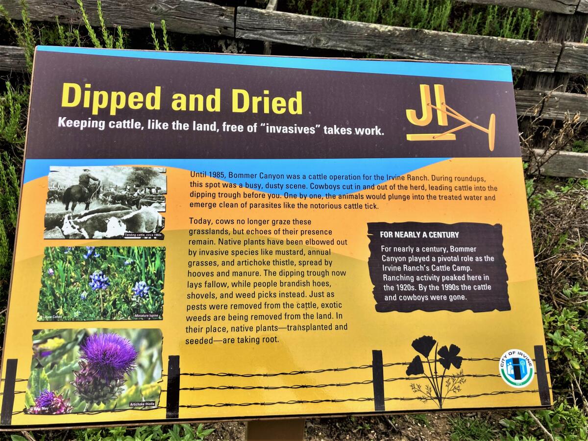 A sign at the Bommer Canyon Nature Garden describes the land's ranching past as part of the long-used Irvine Ranch.