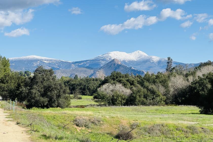 Crystal Lin took this photo of the snow-capped mountains after the long week of rain from San Diego Country Estates.