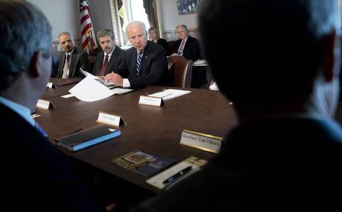 Vice President Joe Biden meets with representatives of sport shooting and wildlife interest groups in Washington, part of his work on proposals to curb gun violence.