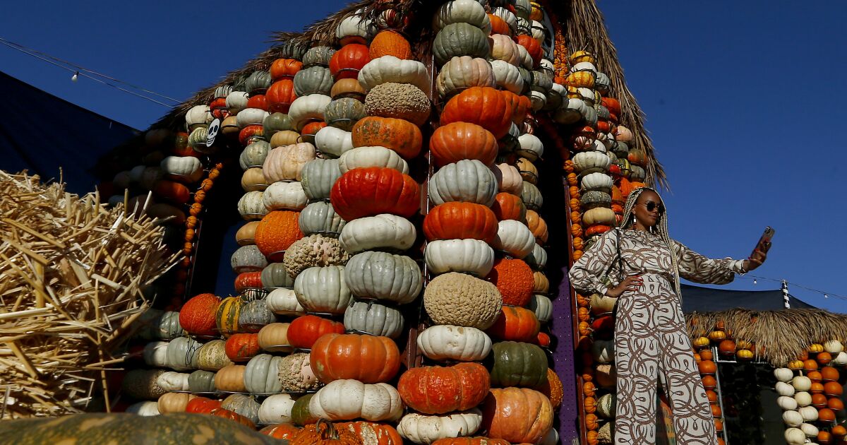 Pumpkin patches near me in Los Angeles and Orange County Los Angeles