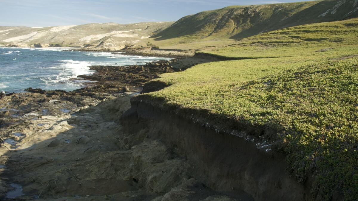 San Miguel Island, where the remains of Tuqan Man, a Native American who died 10,000 years ago, were discovered in 2005.