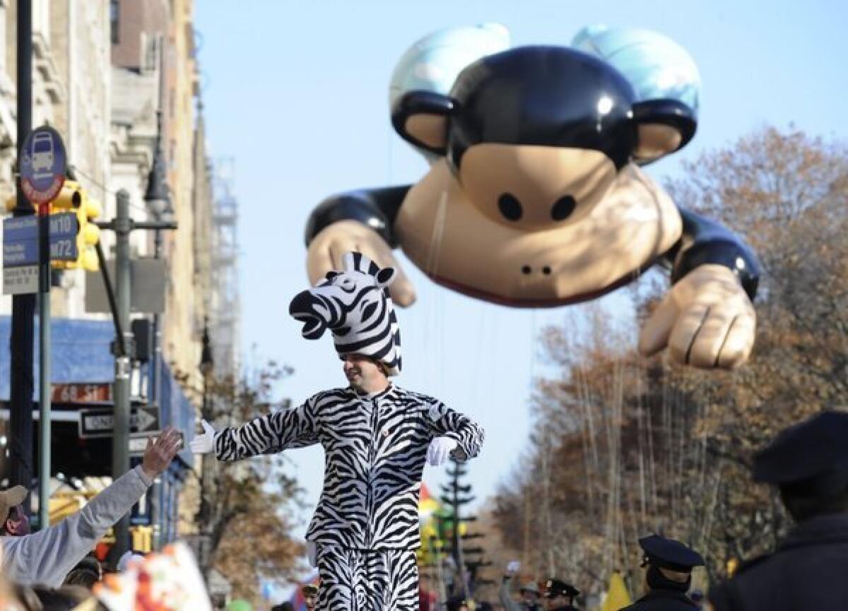 A parade "zebra," followed by a floating Julius the Monkey, high-fives a parade spectator.