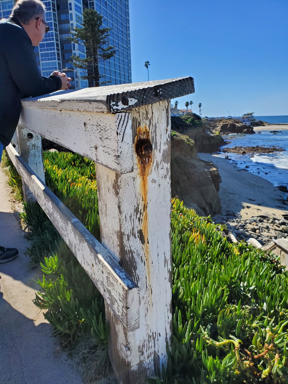 Fences along Coast Boulevard just south of Scripps Park may be painted over or repaired.