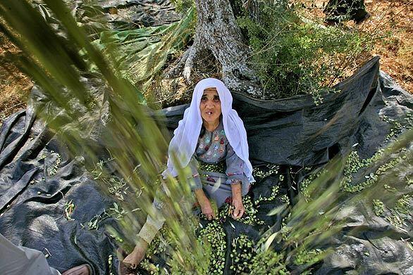 Monday: Day in photos - Ramallah