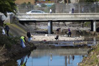 San Diego, CA - February 10: About a 100 cleanup volunteers worked along the Chollas Creek bank and on street level in the Southcrest Community on Saturday, February 10, 2024, in San Diego, CA, to help cleanup after the flood on January 22nd. (Nelvin C. Cepeda / The San Diego Union-Tribune)