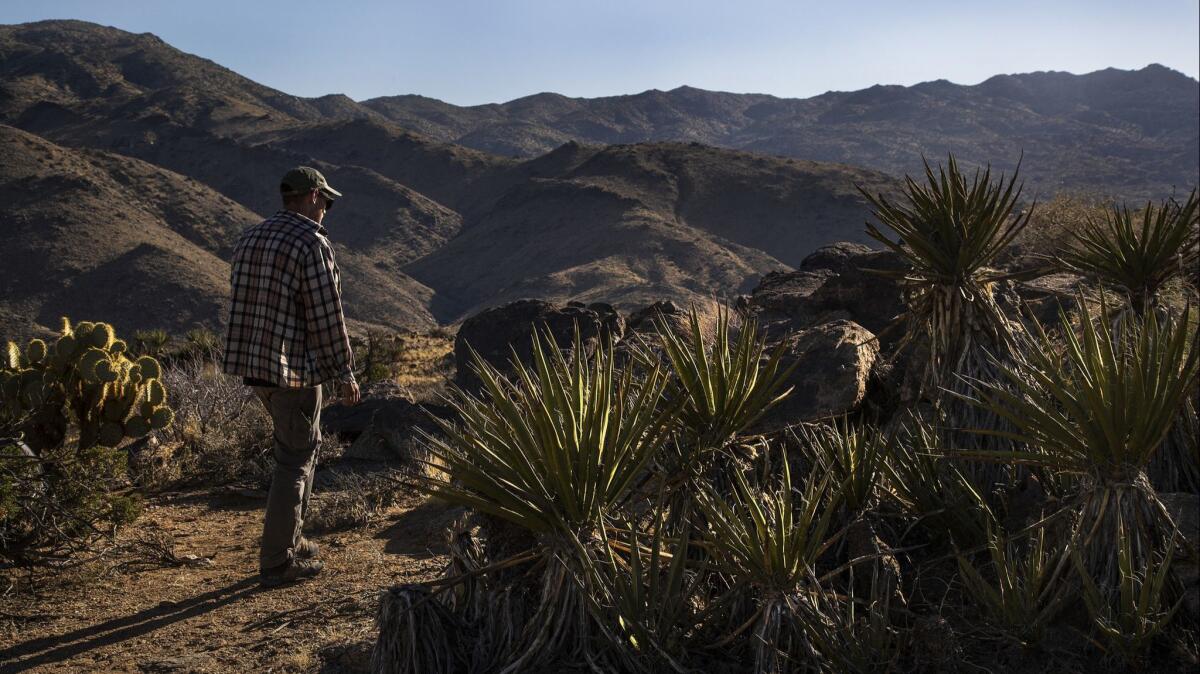 Volunteer rescuer Tiowa Reynolds walks near the spot where he found dehydrated hiker David Sewell in Joshua Tree National Park in April. Sewell, 76, is legally blind.