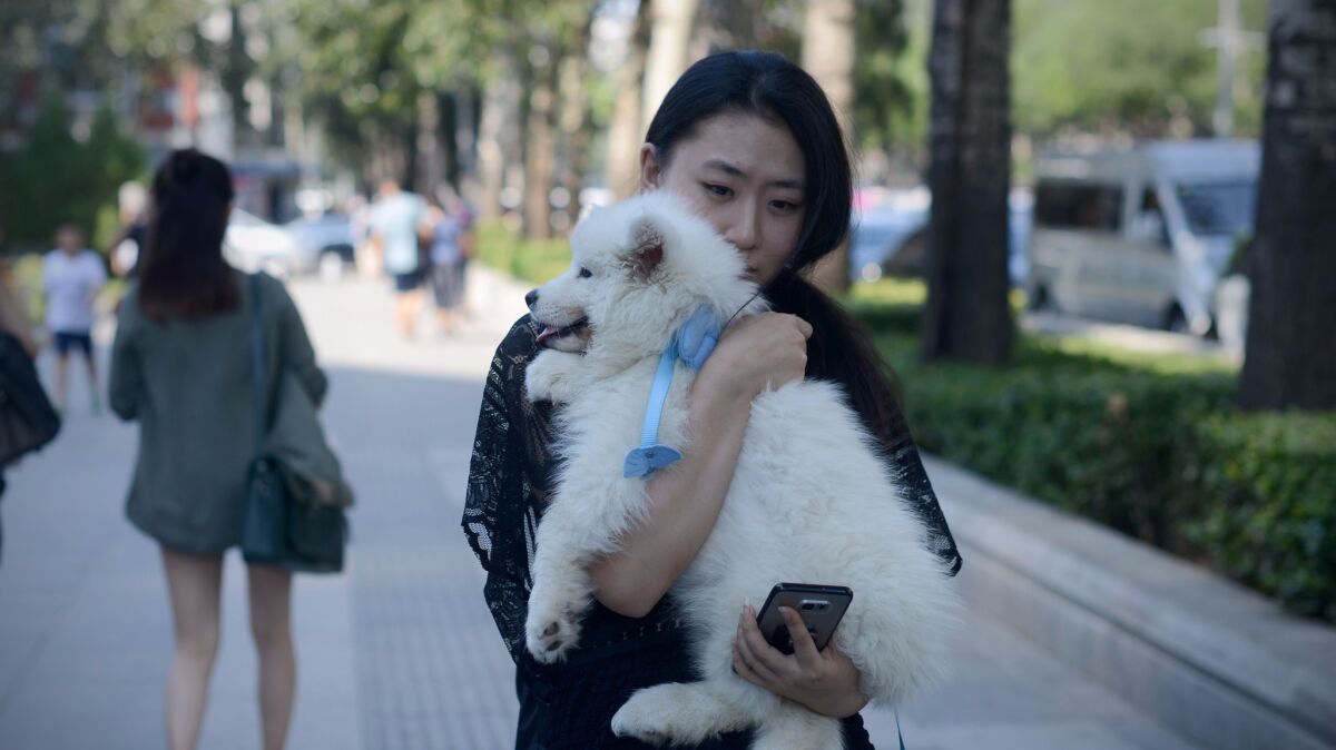 A woman carries her dog as she walks along a street in Beijing in August.