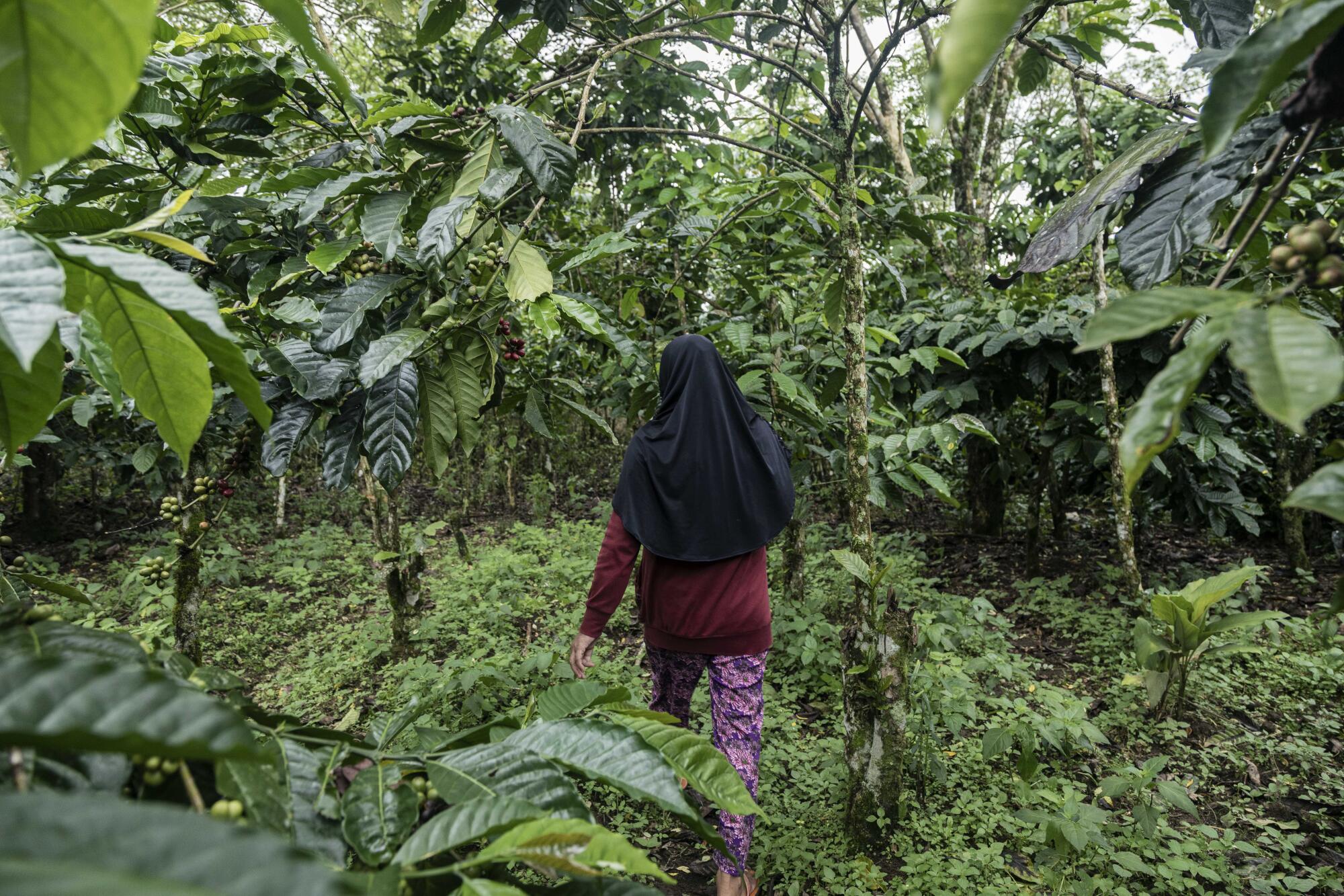 A woman walks in a lush, green area 