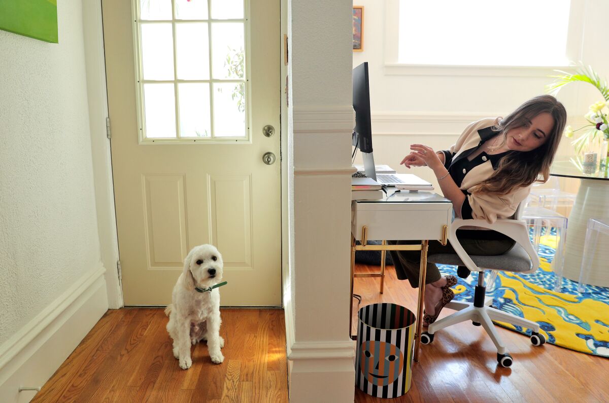 Rira Raisi checks on her dog Pablo in her home where she works.