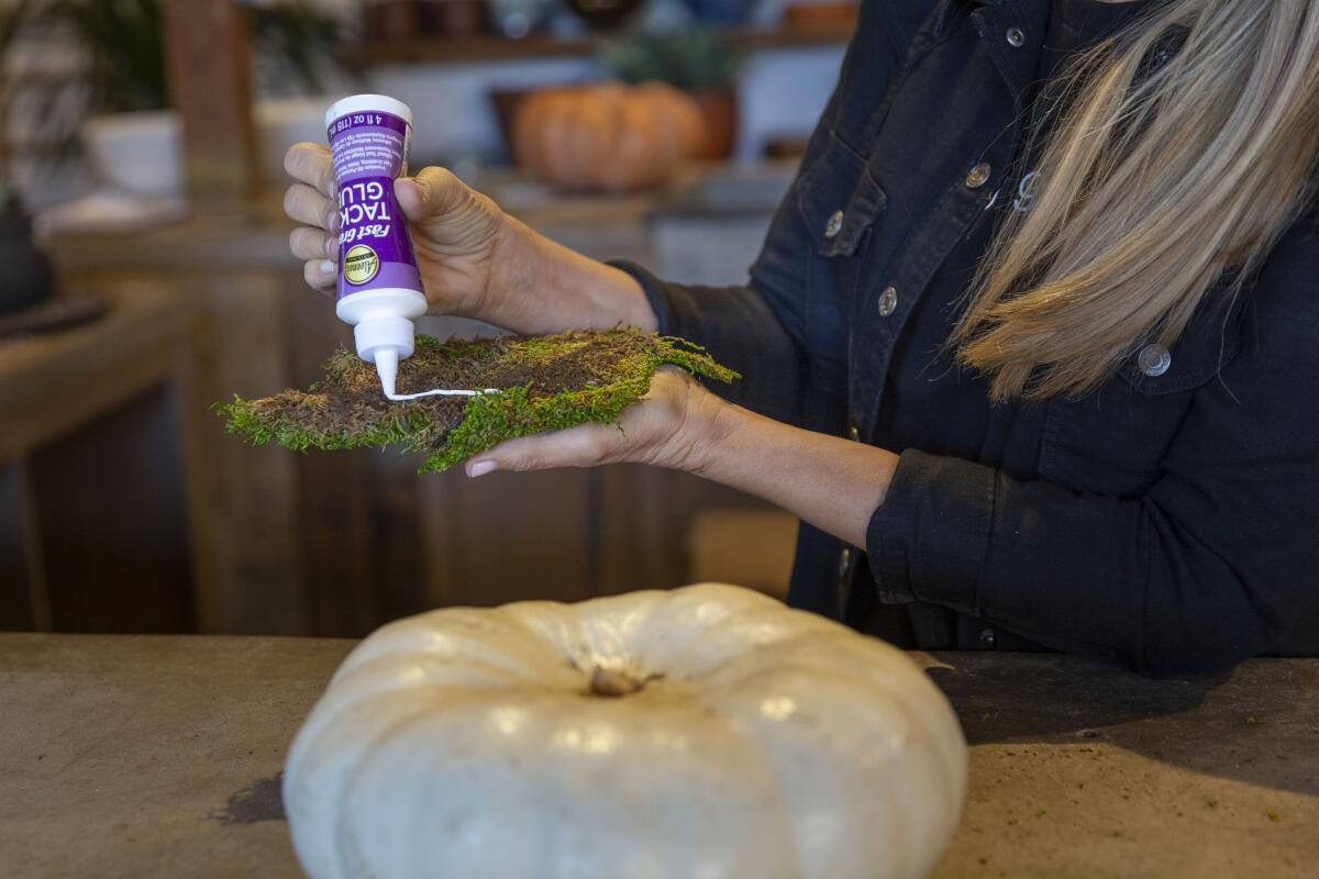 A woman applying glue to sheet moss to put on the top of the pumpkin