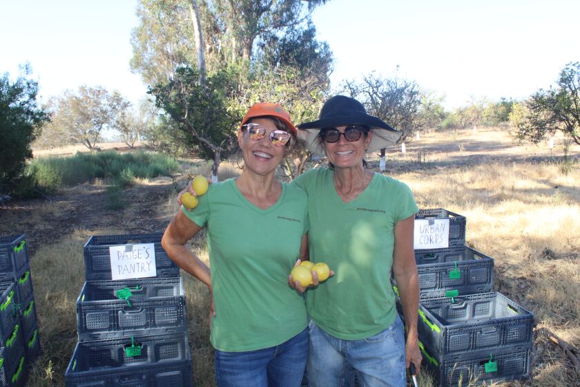 Produce Good co-founders Nita Kurmins Gilson and Alexandra White at a Rancho Santa Fe orchard.