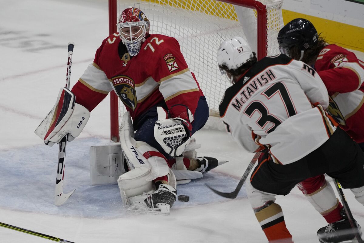 Ducks forward Mason McTavish scores against Florida Panthers goaltender Sergei Bobrovsky.