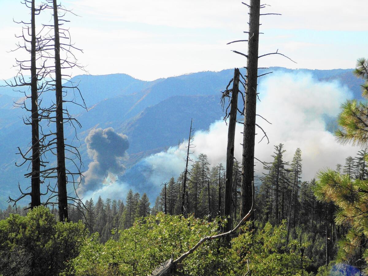 Smoke rises from the wreckage of a state-owned air tanker that crashed Tuesday while fighting the Dog Rock fire at Yosemite National Park.