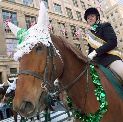 A parade horse in Irish wear makes its way up 5th Avenue during the St. Patrick's Day Parade on March 17, 2008 in New York.