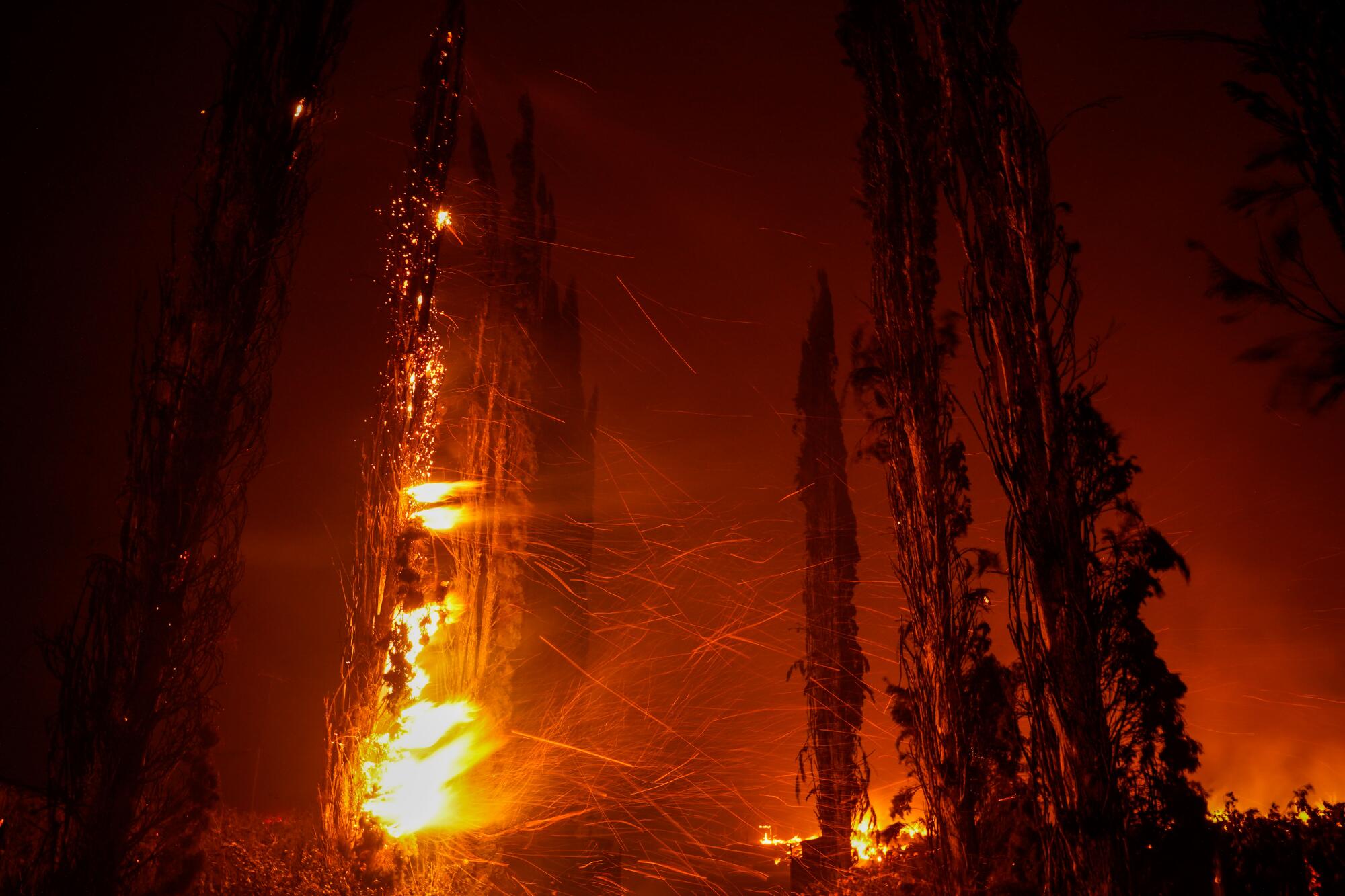 Flames burn in vegetation in St. Helena.