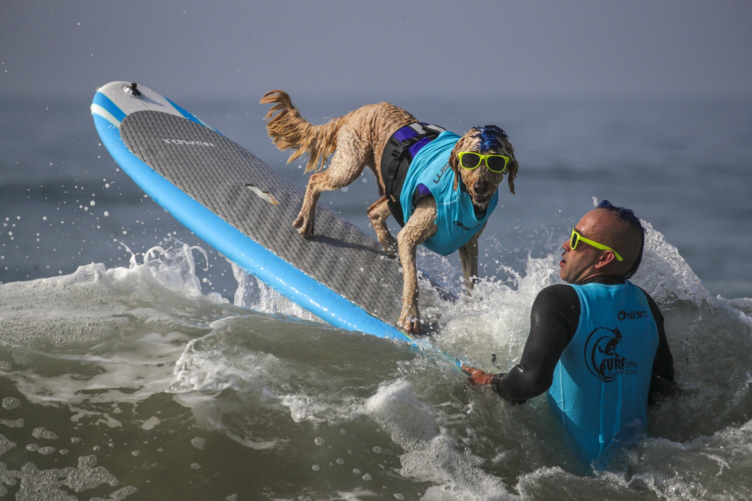 Photos: Ruff waves at the annual dog surfing competition in Huntington Beach