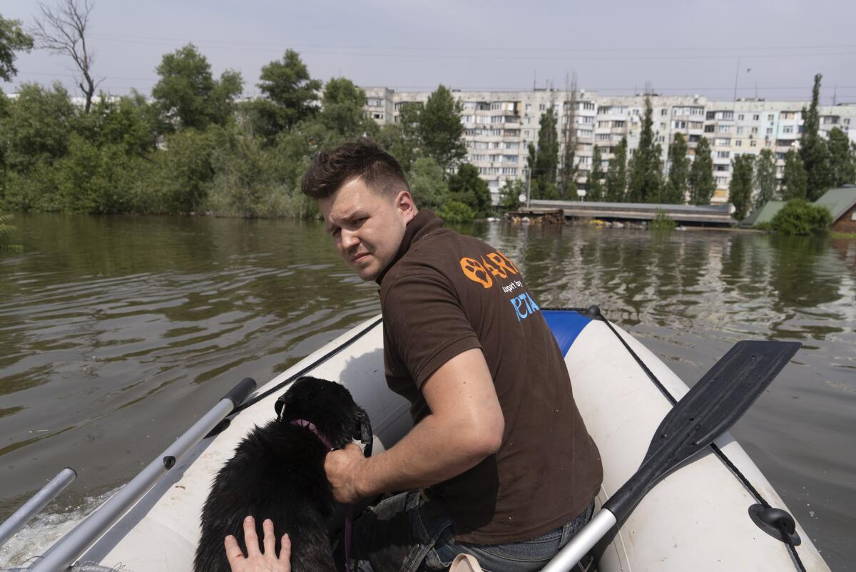 An animal rescue team on a boat with a rescued dog in the flooded area after the dam collapse in Kherson, Ukraine.