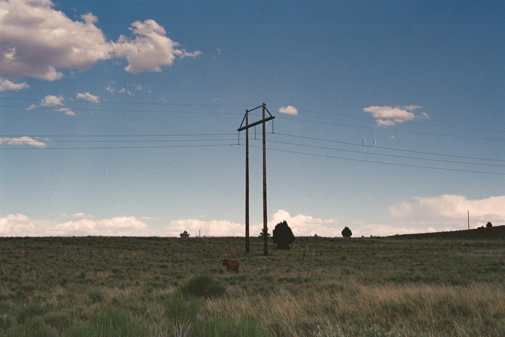 A power line on the roadside in Utah.
