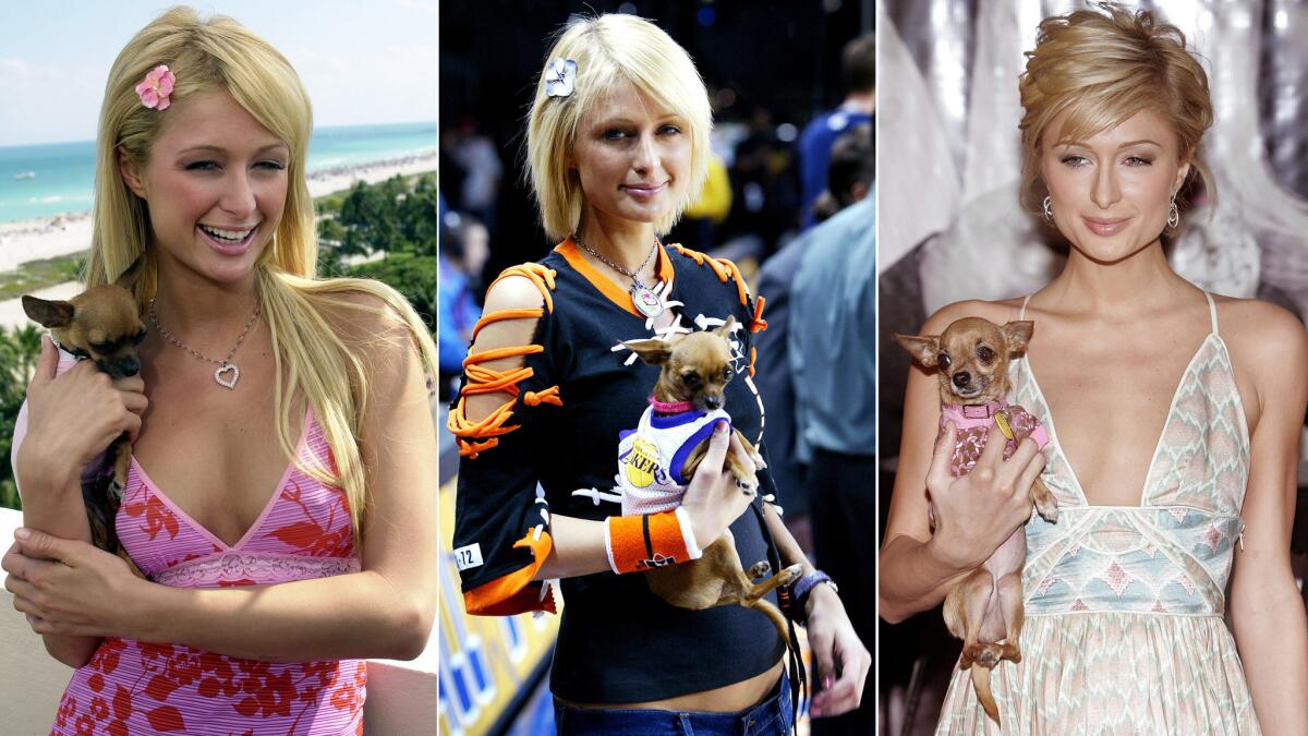 Paris Hilton with her first dog, Tinkerbell, in Miami Beach in March 2004, left; at the NBA All-Star Celebrity Game in L.A. in February 2004; and in New York at a November 2005 event to launch her limited-edition Tourneau watches, which started at $100,000.