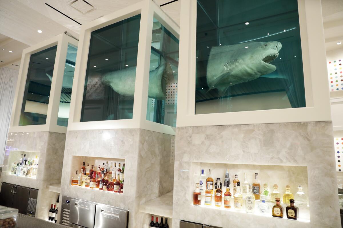 Hirst's shark tanks are made with bulletproof glass, the casino says, with emergency drainage systems below.