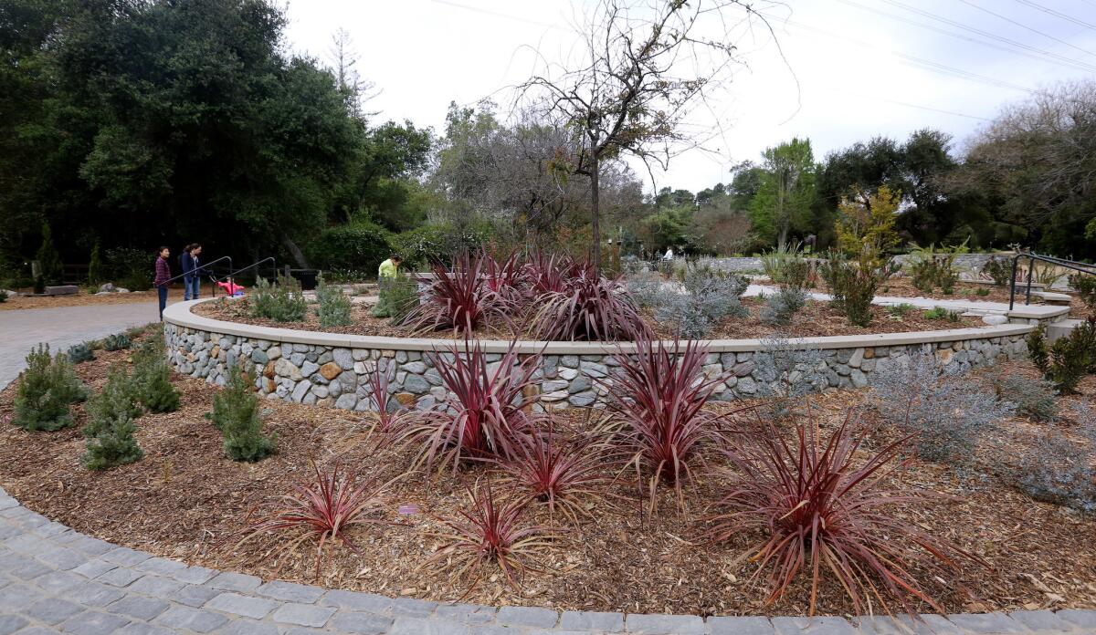 Descanso Gardens unveiled the newly re-designed drought-tolerant Center Circle entrance area on Thursday, April 19. The area was completely rebuilt and includes a year-round color theme and brand-new permeable paving.