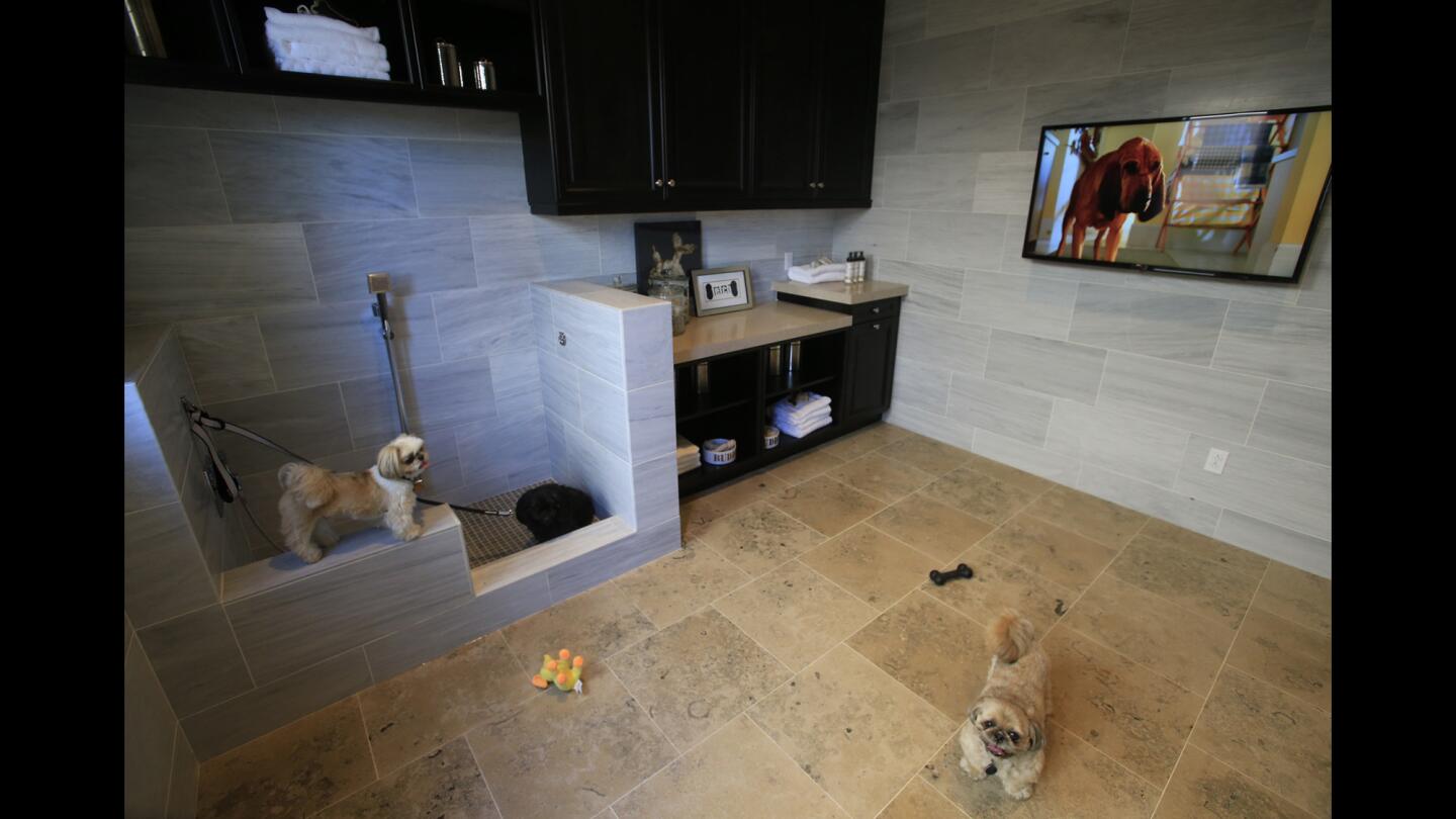 Dogs explore an optional 170-square-foot pet suite at Standard Pacific Homes' Avignon at Blackstone development in Brea. The suite includes a tiled washing station with a hand-held sprayer.