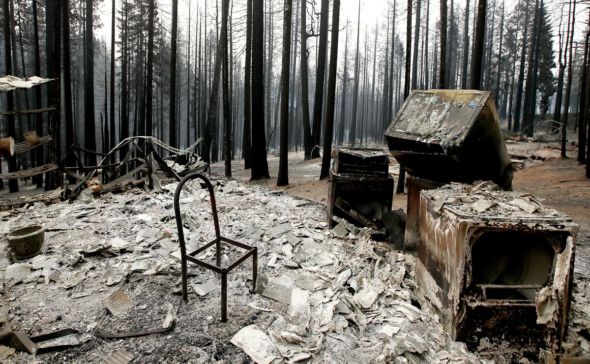 A chair stands in a charred home surrounded by burnt trees