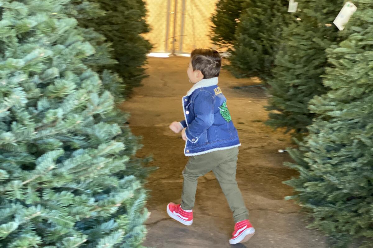 A small child running between Christmas trees