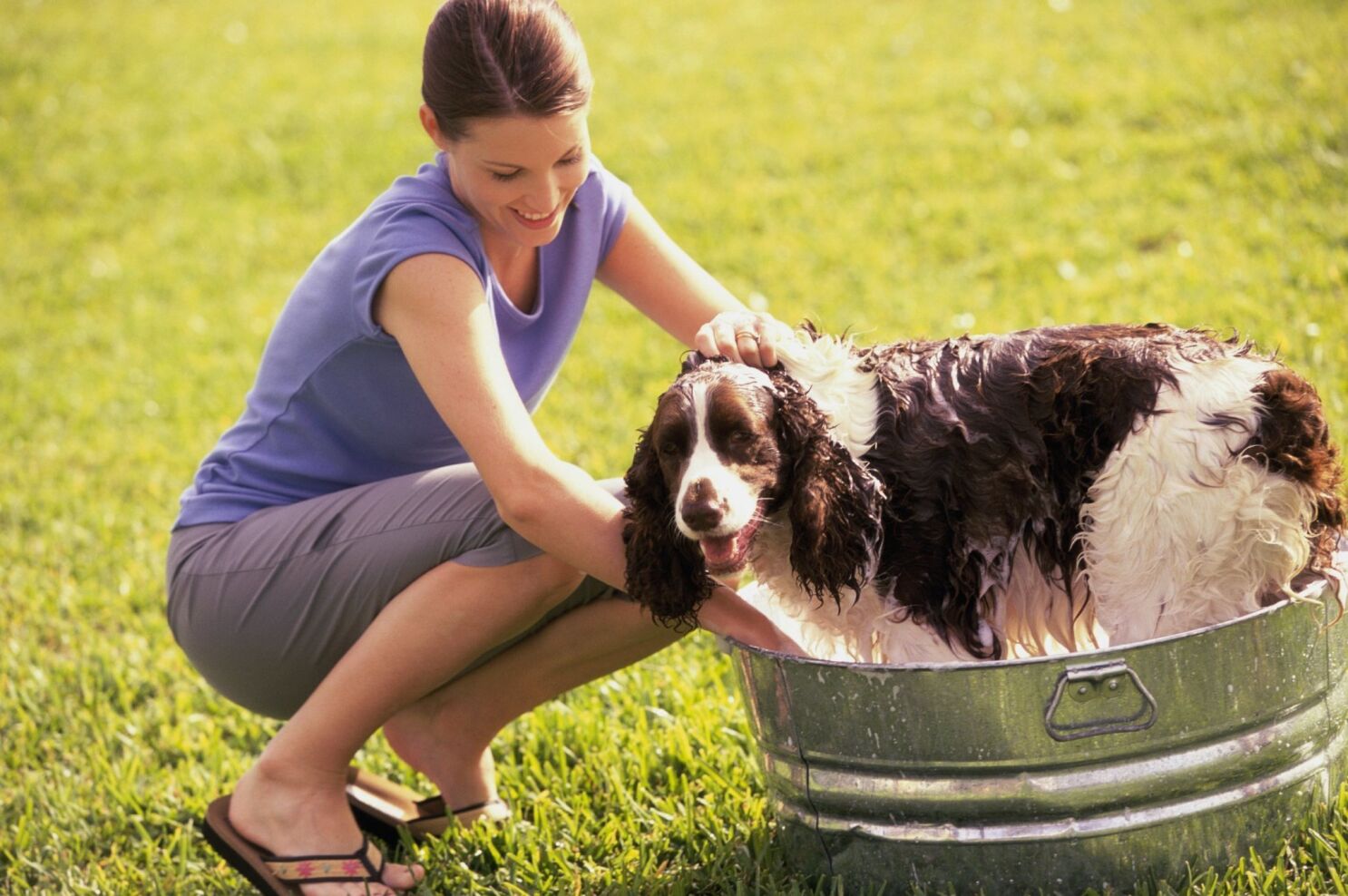 Be WaterSmart: Water-saving ideas for pet care - The San Diego Union-Tribune