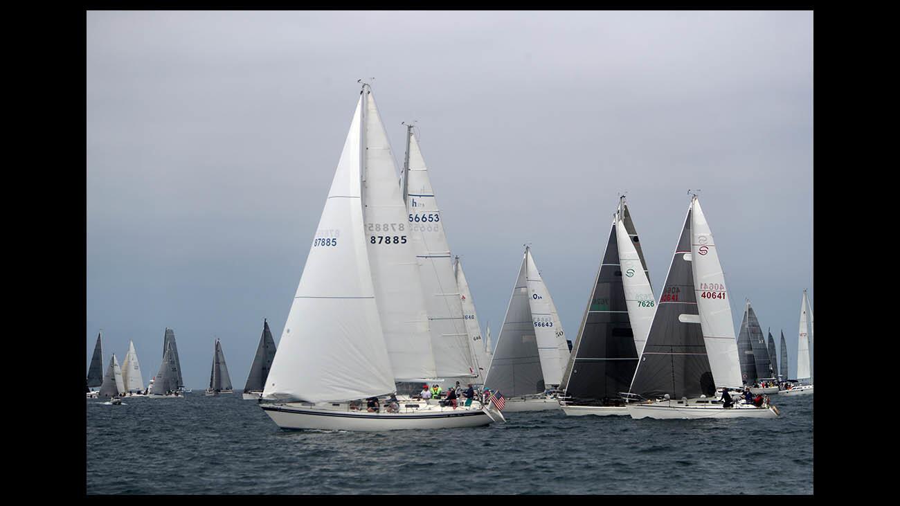 Photo Gallery: The 71st annual Newport to Ensenada International Yacht Race