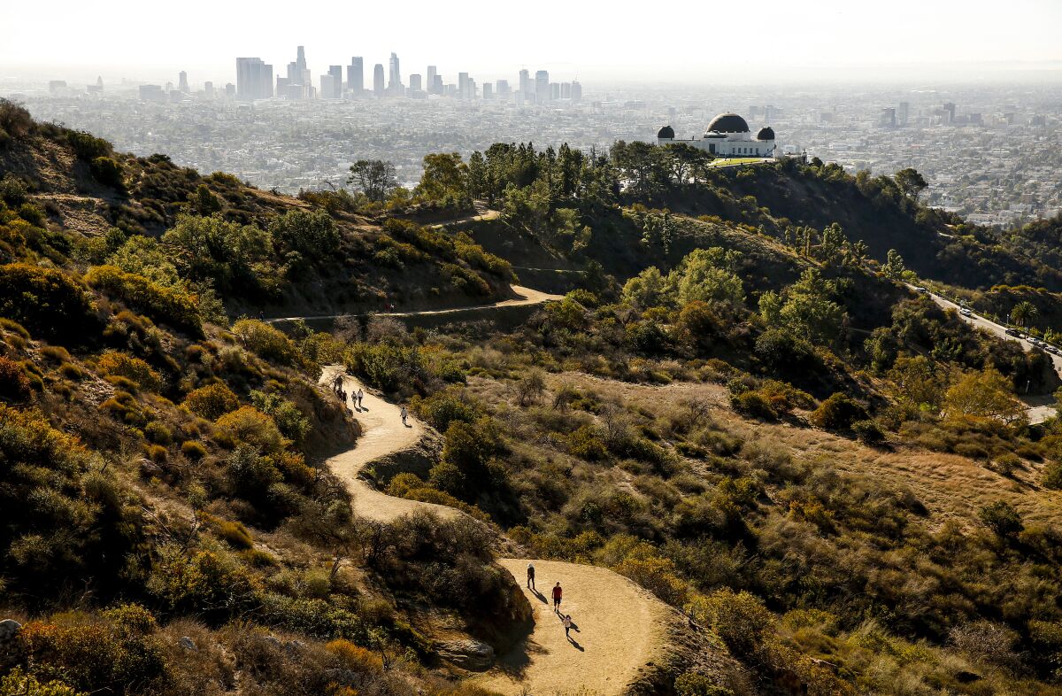 Aerial view of hiking trails with the L.A. skyline in the background