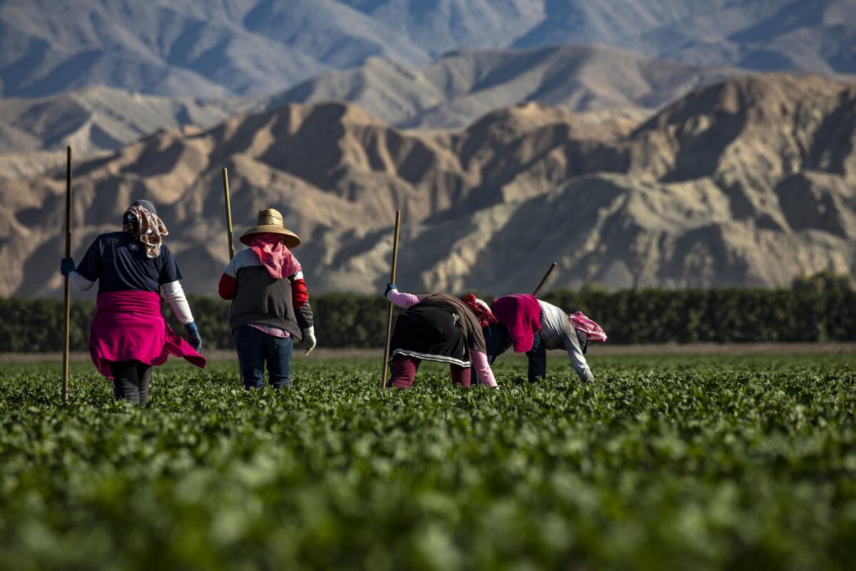 Mecca Calif., is a literal mecca for migrant farmworkers, but it has long struggled with housing the seasonal workers.