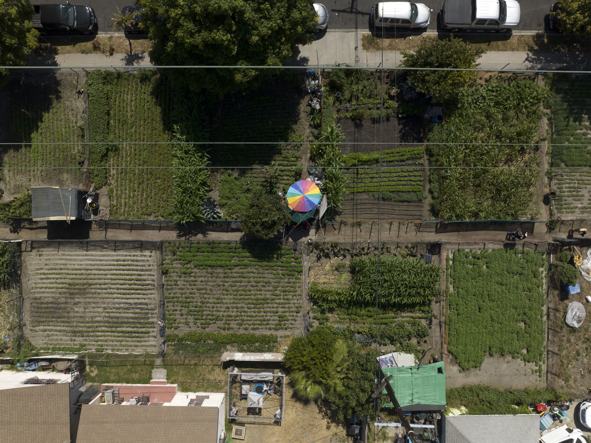 Le jardin communautaire de Stanford Avalon à Watts