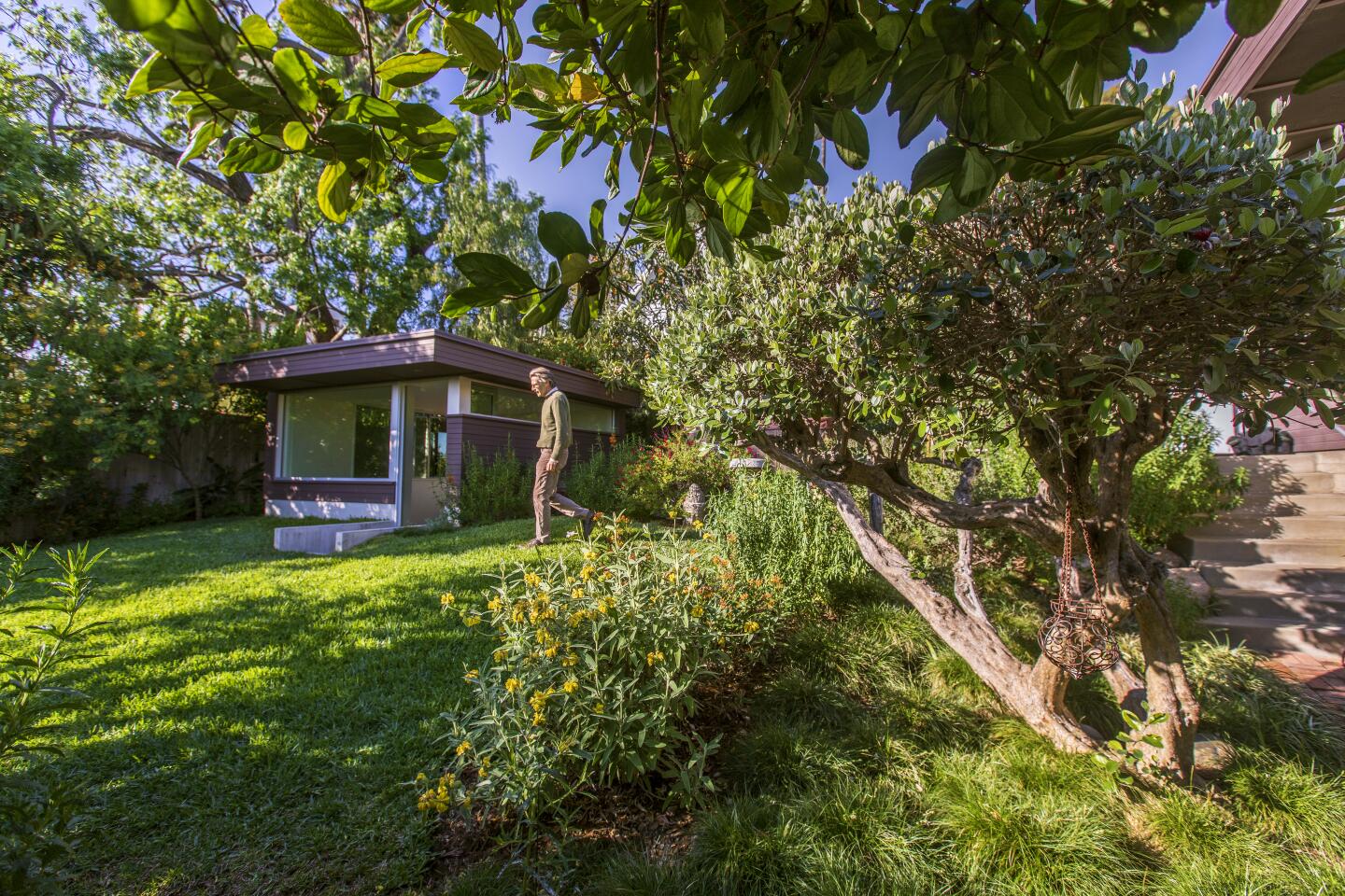 A small rec room hidden among trees